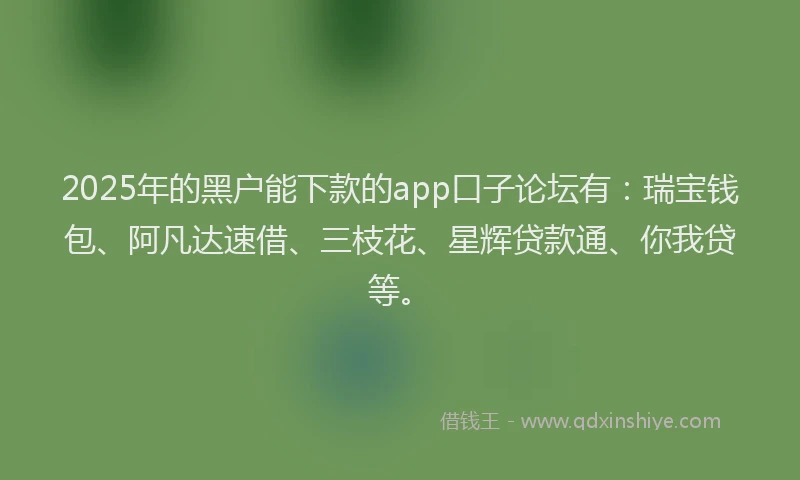 2025年的黑户能下款的app口子论坛有：瑞宝钱包、阿凡达速借、三枝花、星辉贷款通、你我贷等。