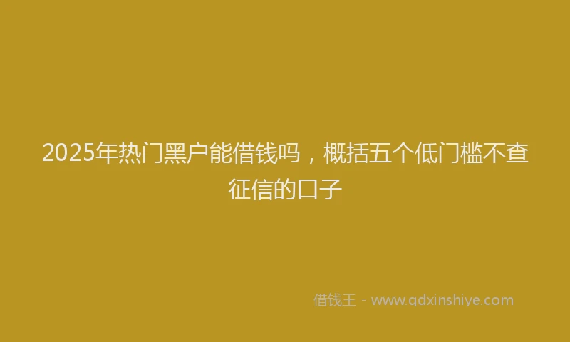 2025年热门黑户能借钱吗,概括五个低门槛不查征信的口子
