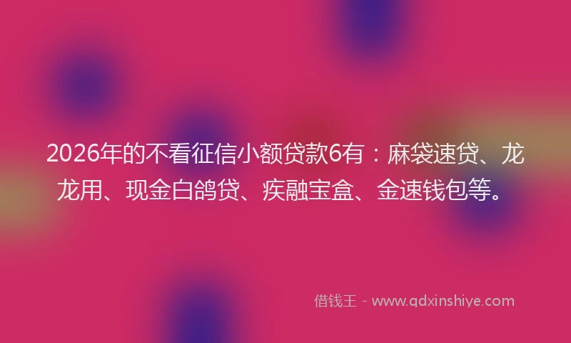 2026年的不看征信小额贷款6有：麻袋速贷、龙龙用、现金白鸽贷、疾融宝盒、金速钱包等。