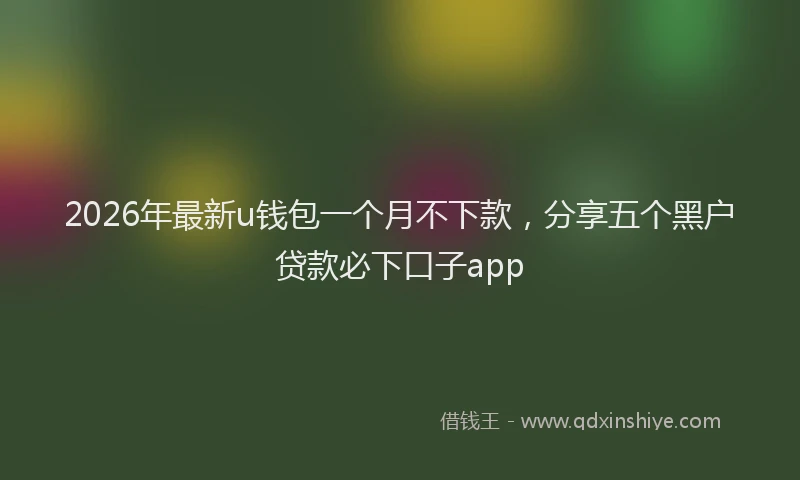 2026年最新u钱包一个月不下款，分享五个黑户贷款必下口子app