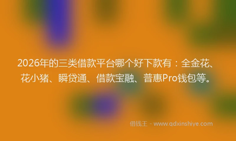2026年的三类借款平台哪个好下款有:全金花、花小猪、瞬贷通、借款宝融、普惠Pro钱包等。