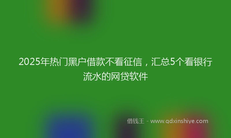 2025年热门黑户借款不看征信，汇总5个看银行流水的网贷软件