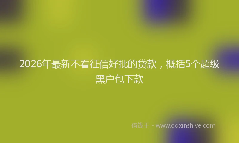 2026年最新不看征信好批的贷款,概括5个超级黑户包下款