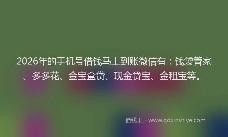 2026年的手机号借钱马上到账微信有：钱袋管家、多多花、金宝盒贷、现金贷宝、金租宝等。