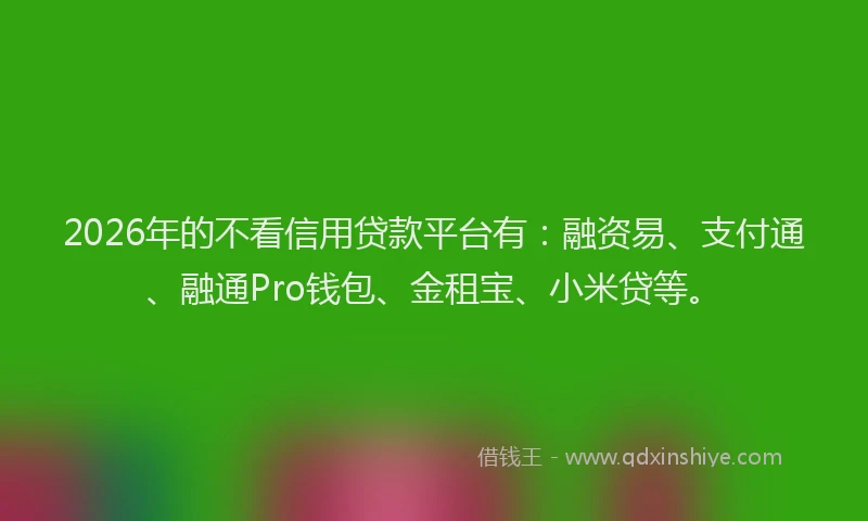 2026年的不看信用贷款平台有：融资易、支付通、融通Pro钱包、金租宝、小米贷等。
