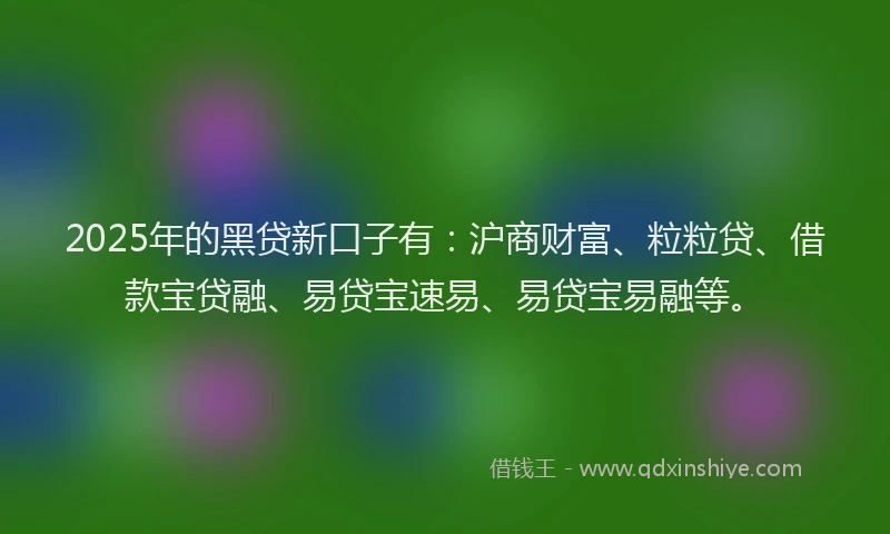 2025年的黑贷新口子有：沪商财富、粒粒贷、借款宝贷融、易贷宝速易、易贷宝易融等。