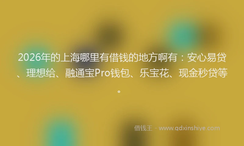 2026年的上海哪里有借钱的地方啊有：安心易贷、理想给、融通宝Pro钱包、乐宝花、现金秒贷等。