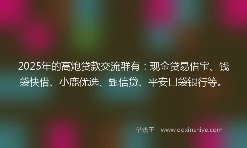 2025年的高炮贷款交流群有:现金贷易借宝、钱袋快借、小鹿优选、甄信贷、平安口袋银行等。