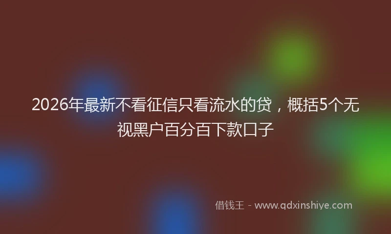 2026年最新不看征信只看流水的贷，概括5个无视黑户百分百下款口子