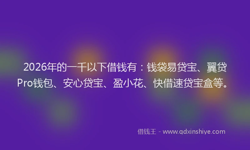 2026年的一千以下借钱有：钱袋易贷宝、翼贷Pro钱包、安心贷宝、盈小花、快借速贷宝盒等。