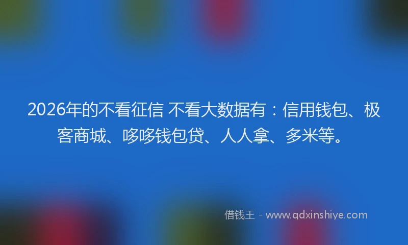 2026年的不看征信 不看大数据有:信用钱包、极客商城、哆哆钱包贷、人人拿、多米等。