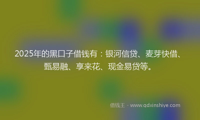 2025年的黑口子借钱有:银河信贷、麦芽快借、甄易融、享来花、现金易贷等。