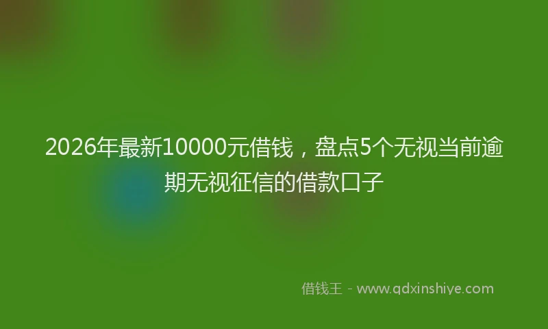 2026年最新10000元借钱，盘点5个无视当前逾期无视征信的借款口子