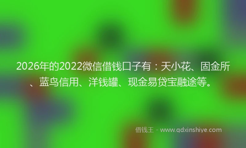 2026年的2022微信借钱口子有：天小花、固金所、蓝鸟信用、洋钱罐、现金易贷宝融途等。