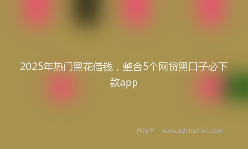 2025年热门黑花借钱,整合5个网贷黑口子必下款app