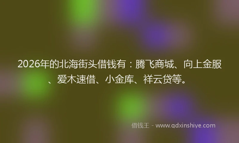 2026年的北海街头借钱有：腾飞商城、向上金服、爱木速借、小金库、祥云贷等。