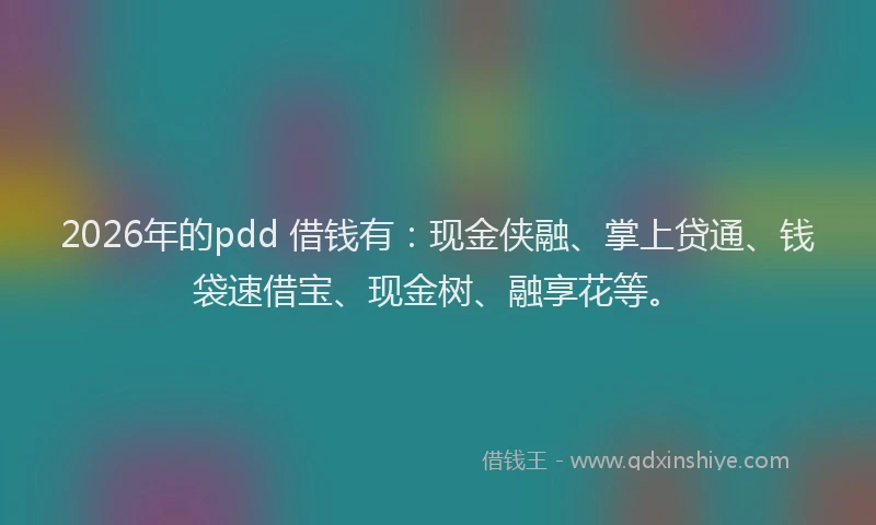 2026年的pdd 借钱有：现金侠融、掌上贷通、钱袋速借宝、现金树、融享花等。
