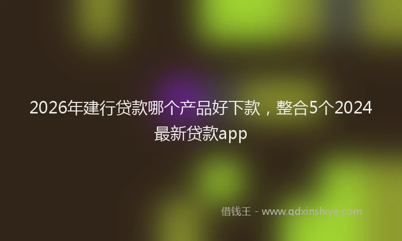 2026年建行贷款哪个产品好下款，整合5个2024最新贷款app