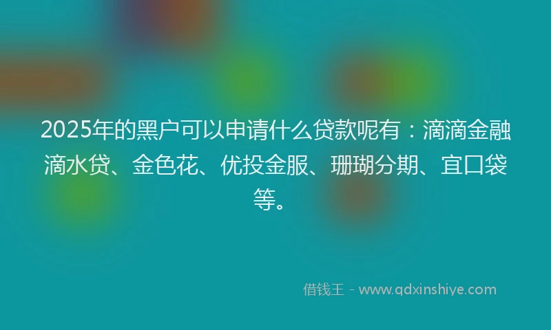 2025年的黑户可以申请什么贷款呢有:滴滴金融滴水贷、金色花、优投金服、珊瑚分期、宜口袋等。