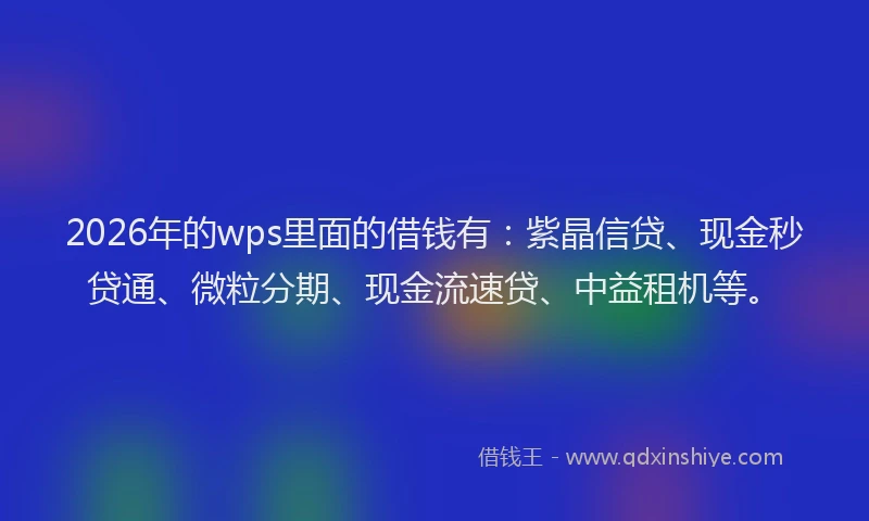 2026年的wps里面的借钱有:紫晶信贷、现金秒贷通、微粒分期、现金流速贷、中益租机等。