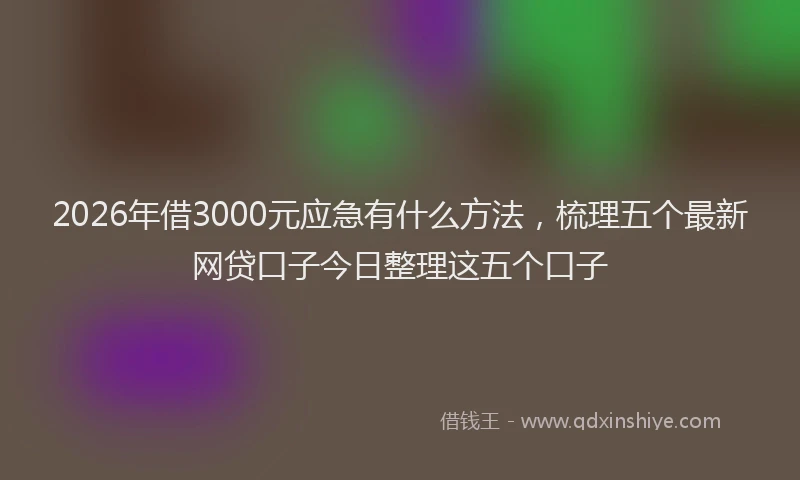 2026年借3000元应急有什么方法，梳理五个最新网贷口子今日整理这五个口子