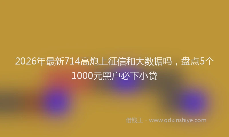 2026年最新714高炮上征信和大数据吗,盘点5个1000元黑户必下小贷
