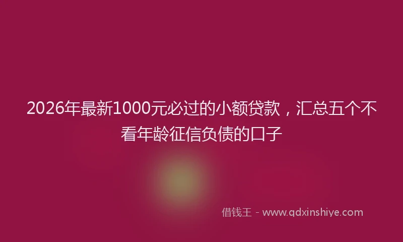 2026年最新1000元必过的小额贷款，汇总五个不看年龄征信负债的口子