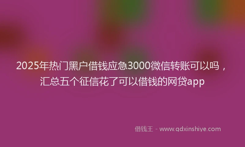 2025年热门黑户借钱应急3000微信转账可以吗,汇总五个征信花了可以借钱的网贷app