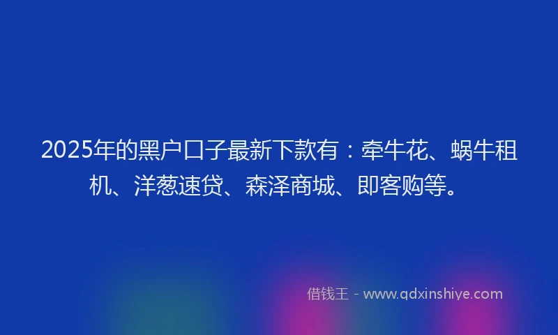 2025年的黑户口子最新下款有：牵牛花、蜗牛租机、洋葱速贷、森泽商城、即客购等。