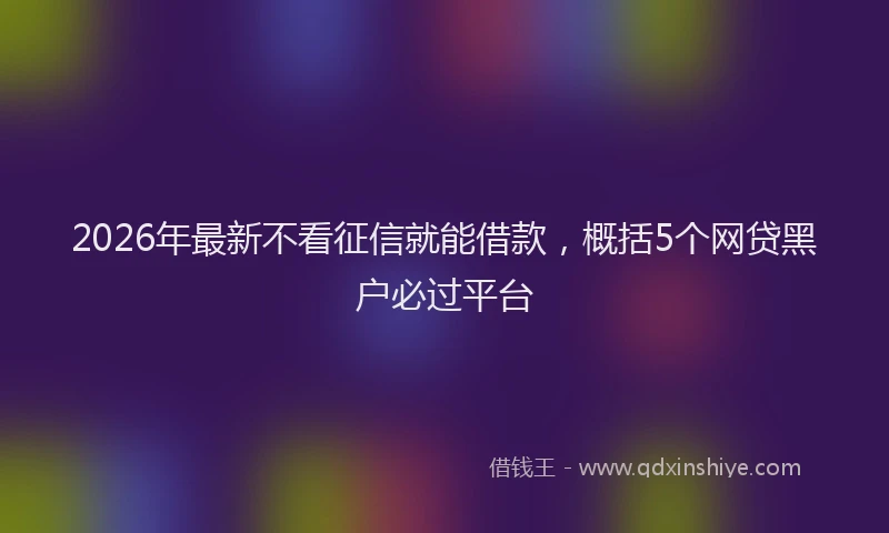 2026年最新不看征信就能借款,概括5个网贷黑户必过平台