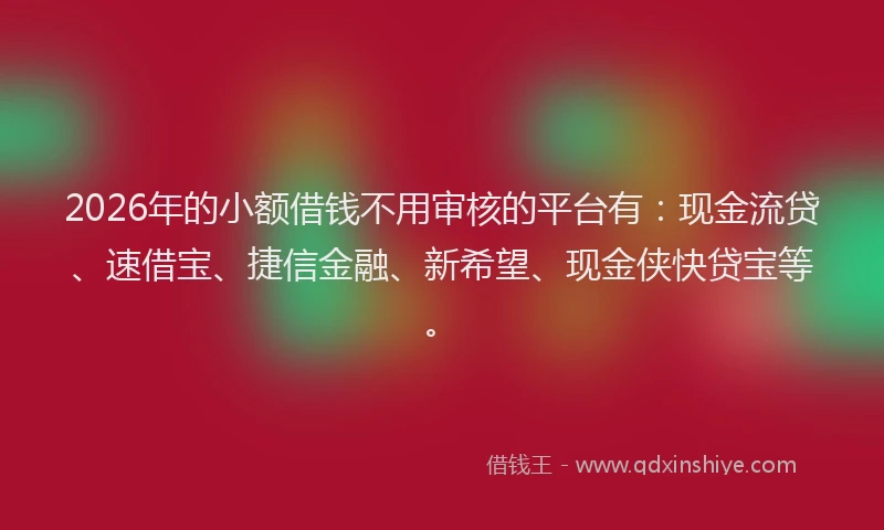 2026年的小额借钱不用审核的平台有：现金流贷、速借宝、捷信金融、新希望、现金侠快贷宝等。