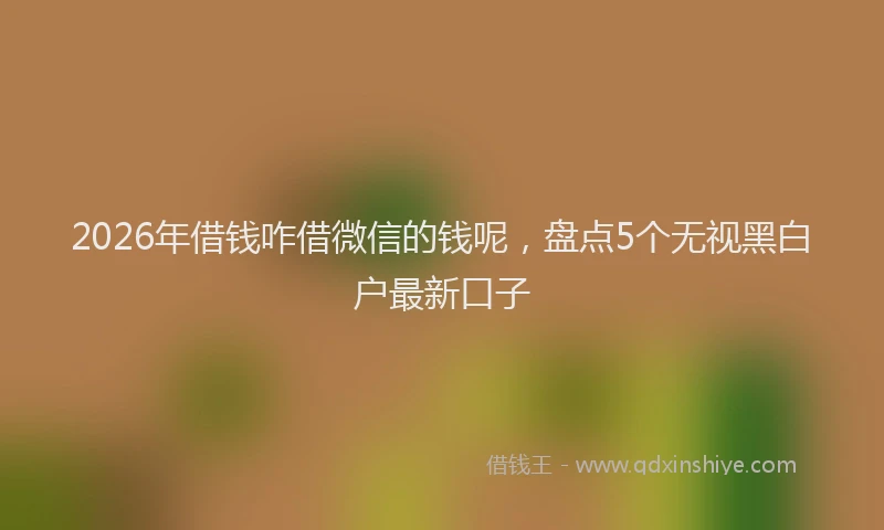2026年借钱咋借微信的钱呢，盘点5个无视黑白户最新口子