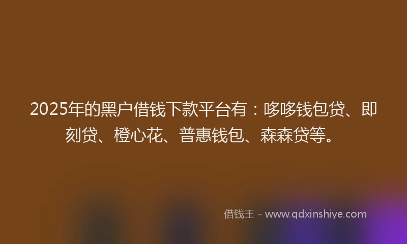 2025年的黑户借钱下款平台有：哆哆钱包贷、即刻贷、橙心花、普惠钱包、森森贷等。