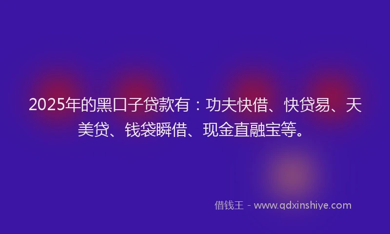 2025年的黑口子贷款有：功夫快借、快贷易、天美贷、钱袋瞬借、现金直融宝等。