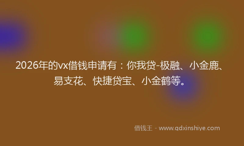 2026年的vx借钱申请有：你我贷-极融、小金鹿、易支花、快捷贷宝、小金鹤等。