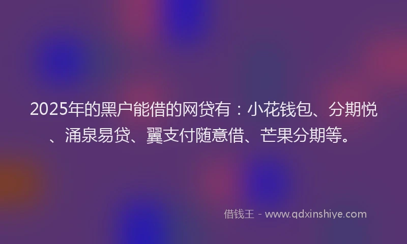 2025年的黑户能借的网贷有：小花钱包、分期悦、涌泉易贷、翼支付随意借、芒果分期等。