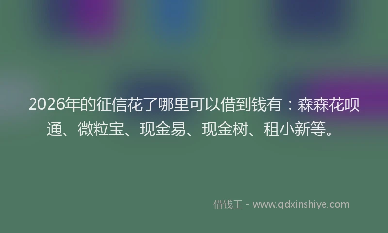 2026年的征信花了哪里可以借到钱有：森森花呗通、微粒宝、现金易、现金树、租小新等。