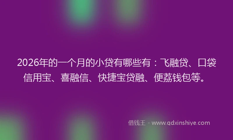 2026年的一个月的小贷有哪些有：飞融贷、口袋信用宝、喜融信、快捷宝贷融、便荔钱包等。