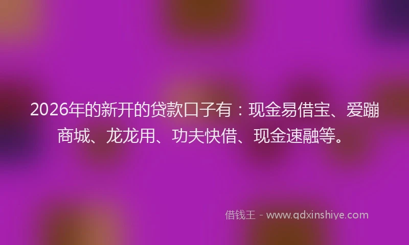 2026年的新开的贷款口子有：现金易借宝、爱蹦商城、龙龙用、功夫快借、现金速融等。