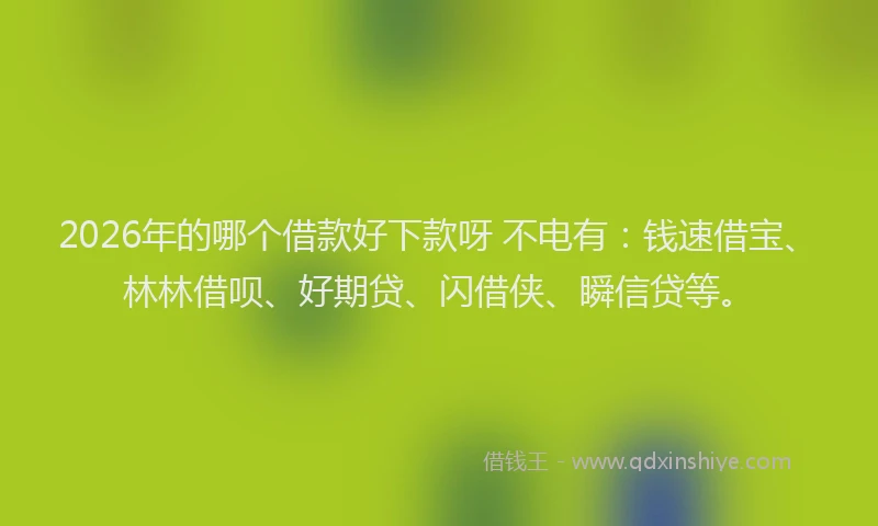 2026年的哪个借款好下款呀 不电有：钱速借宝、林林借呗、好期贷、闪借侠、瞬信贷等。