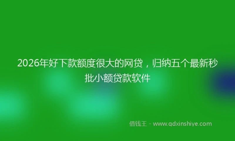 2026年好下款额度很大的网贷，归纳五个最新秒批小额贷款软件