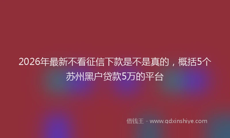 2026年最新不看征信下款是不是真的,概括5个苏州黑户贷款5万的平台