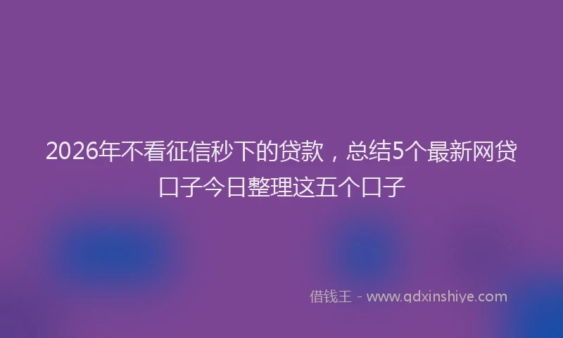 2026年不看征信秒下的贷款，总结5个最新网贷口子今日整理这五个口子
