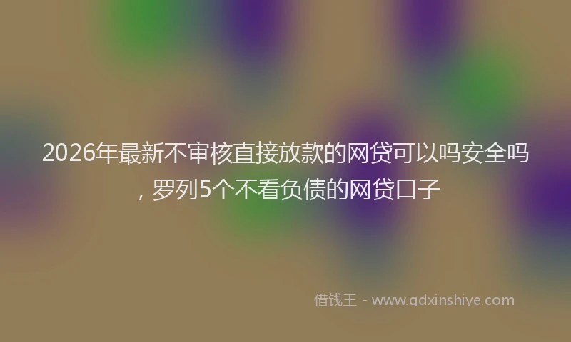 2026年最新不审核直接放款的网贷可以吗安全吗,罗列5个不看负债的网贷口子