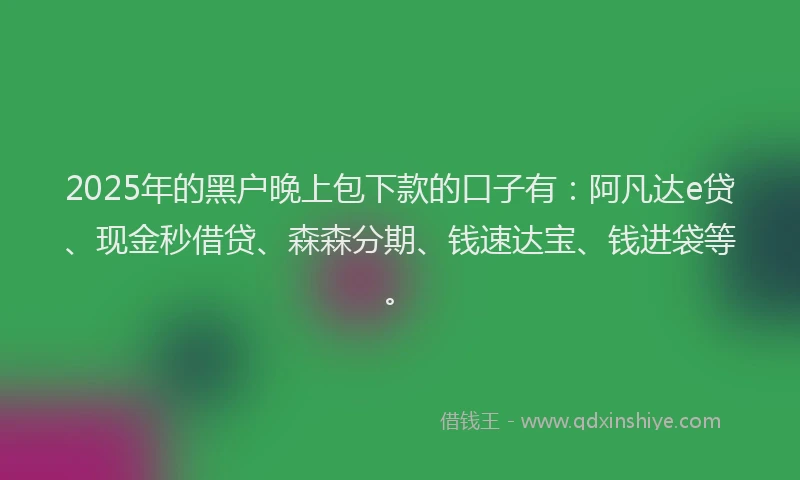 2025年的黑户晚上包下款的口子有：阿凡达e贷、现金秒借贷、森森分期、钱速达宝、钱进袋等。
