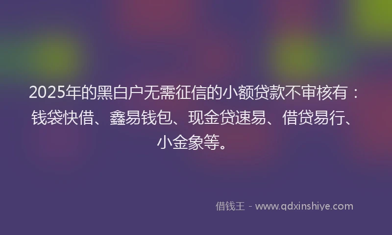 2025年的黑白户无需征信的小额贷款不审核有：钱袋快借、鑫易钱包、现金贷速易、借贷易行、小金象等。