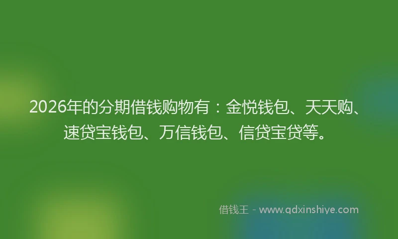 2026年的分期借钱购物有：金悦钱包、天天购、速贷宝钱包、万信钱包、信贷宝贷等。