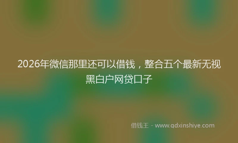 2026年微信那里还可以借钱，整合五个最新无视黑白户网贷口子