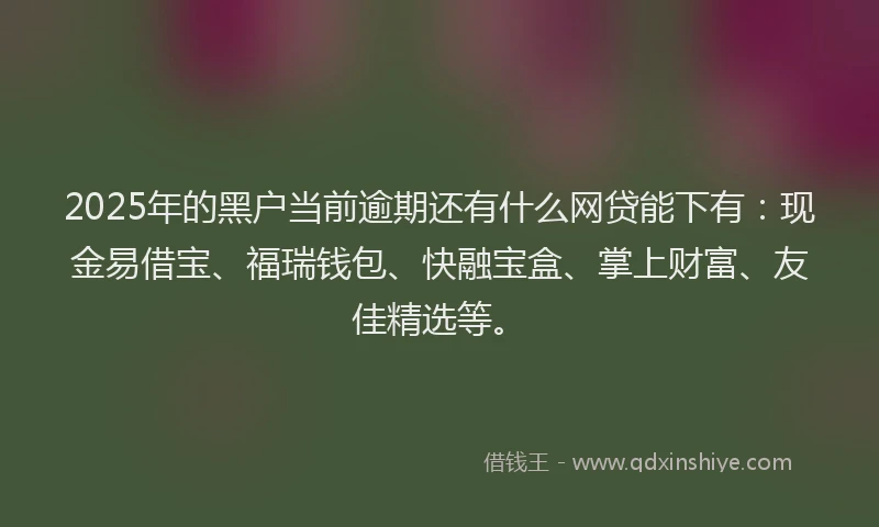 2025年的黑户当前逾期还有什么网贷能下有：现金易借宝、福瑞钱包、快融宝盒、掌上财富、友佳精选等。