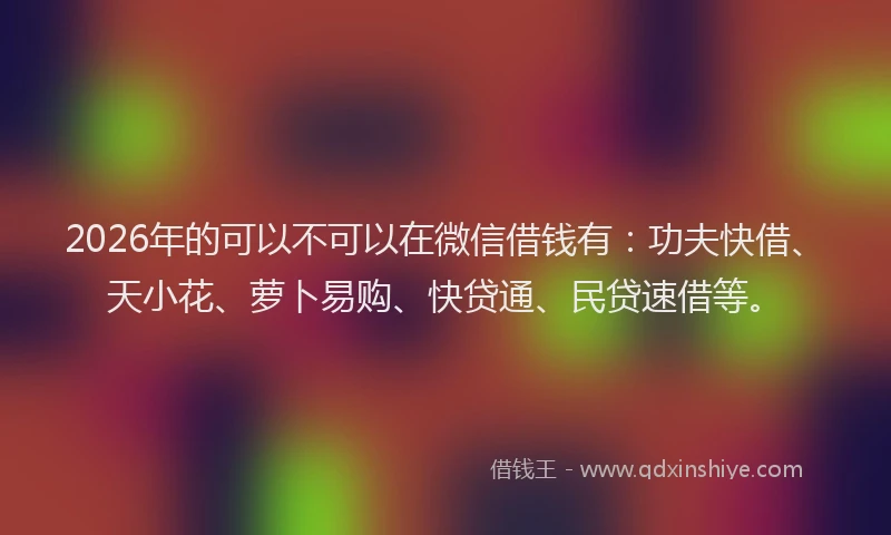 2026年的可以不可以在微信借钱有:功夫快借、天小花、萝卜易购、快贷通、民贷速借等。